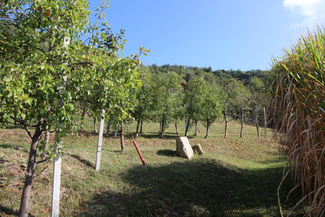 Ausserperskolerhof - Adults Only Fie allo Sciliar Luaran gambar