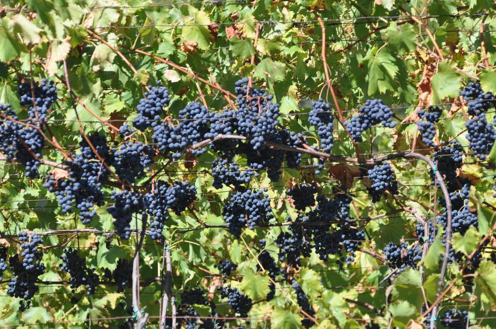 Ausserperskolerhof - Adults Only Fie allo Sciliar Luaran gambar